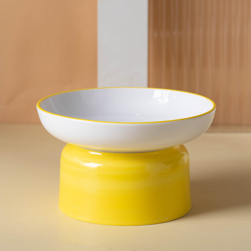 Pet Ceramic Tall Slanted Bowl