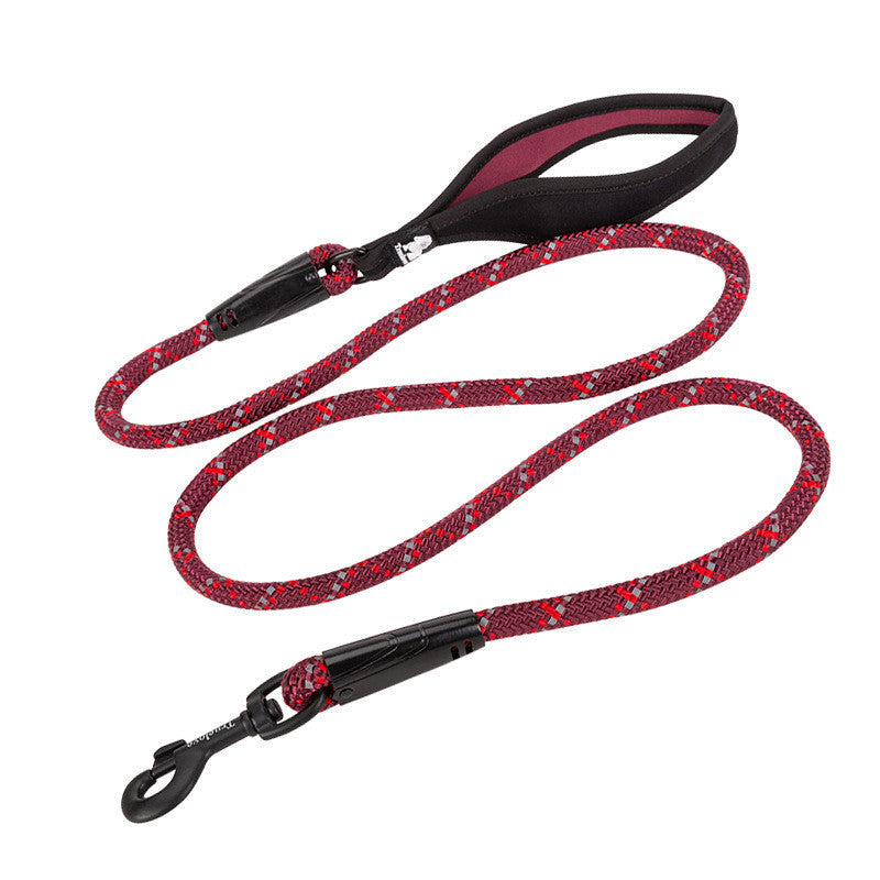 Pet Padded Handle Walking Leash