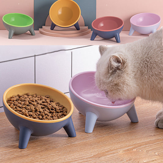 Stylish Cat & Dog Bowl