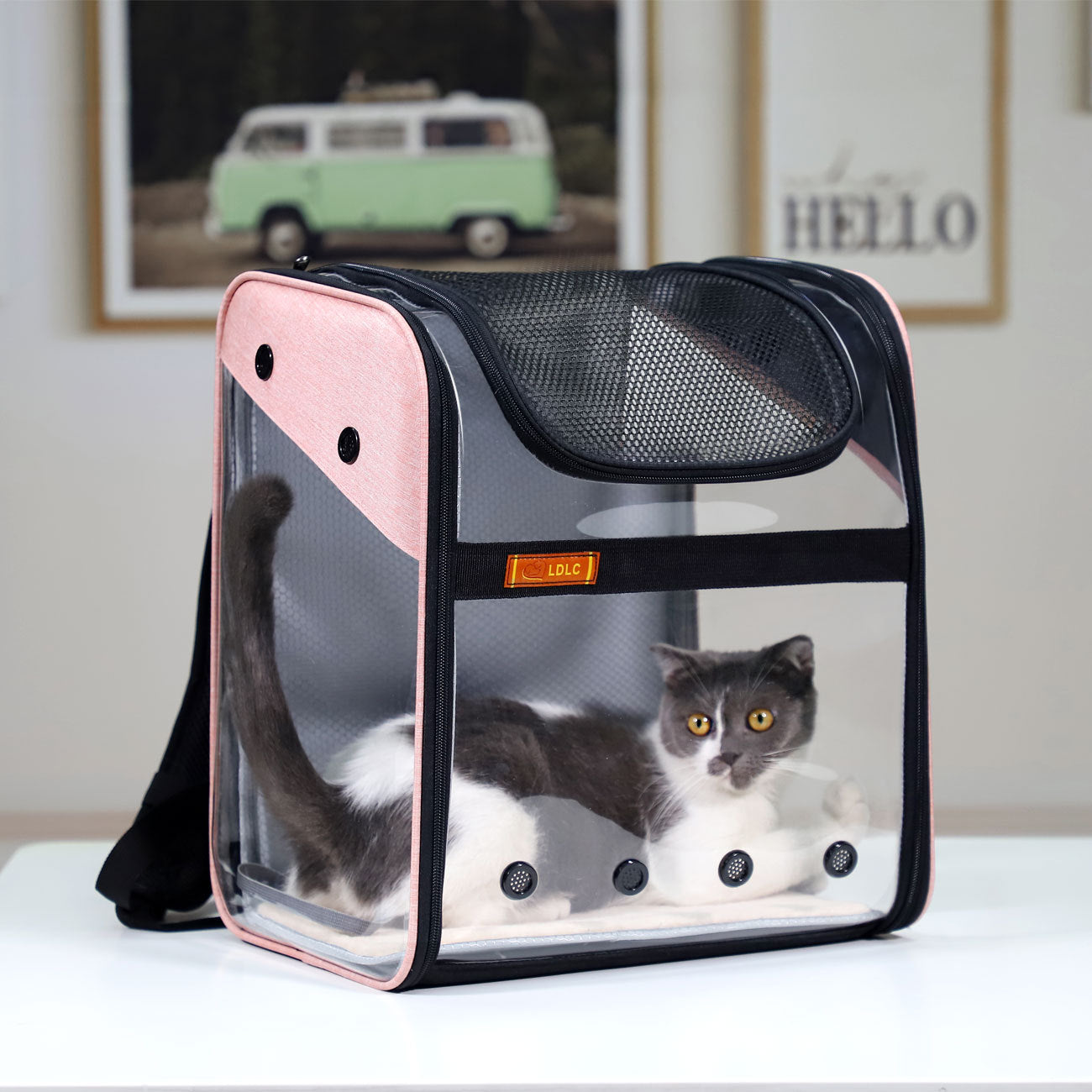 PVC Breathable Pet Backpack