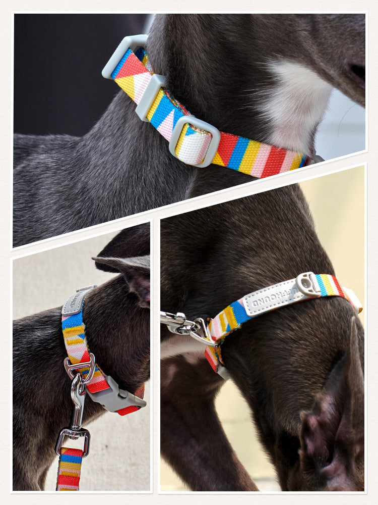 Dog Collar and Leash Set