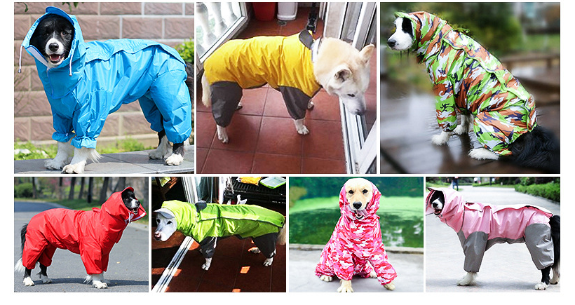 Four Legged Dog Raincoat