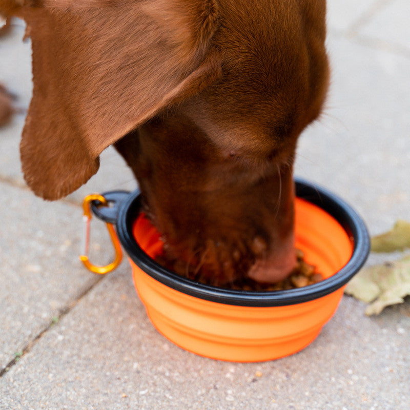 Outdoor Folding Pet Bowl With Keychain