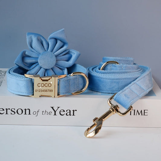 Blue Velvet Dog Collar and leash