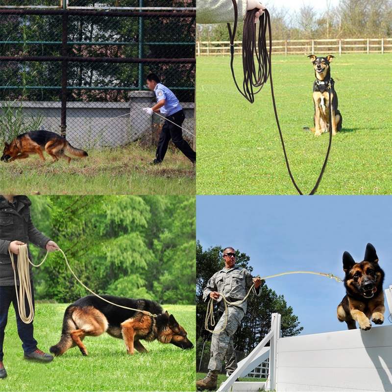 Dog Long Training Belt