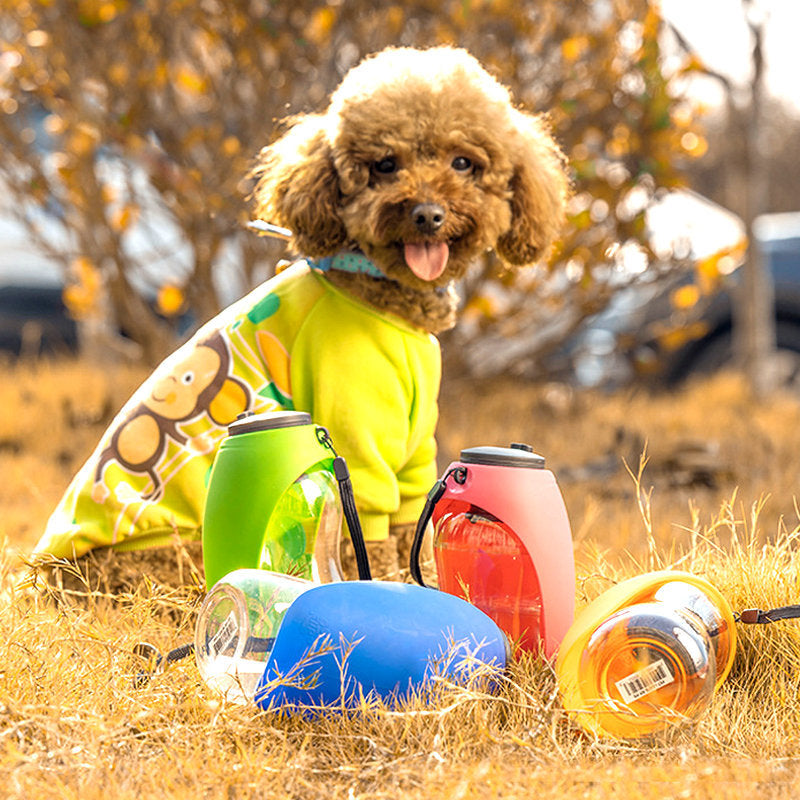 Pet Outdoor Water Bottle