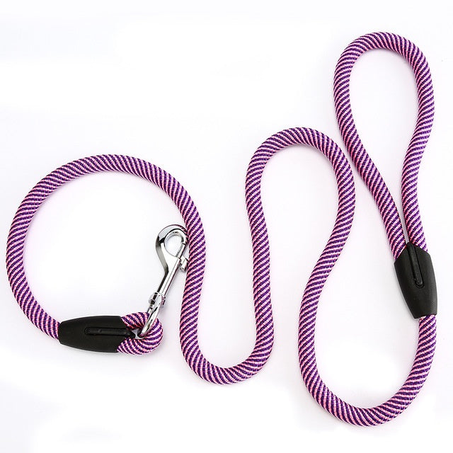 Dog Black And Pink Rope