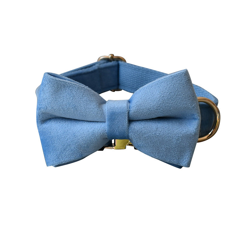 Blue Velvet Dog Collar and leash