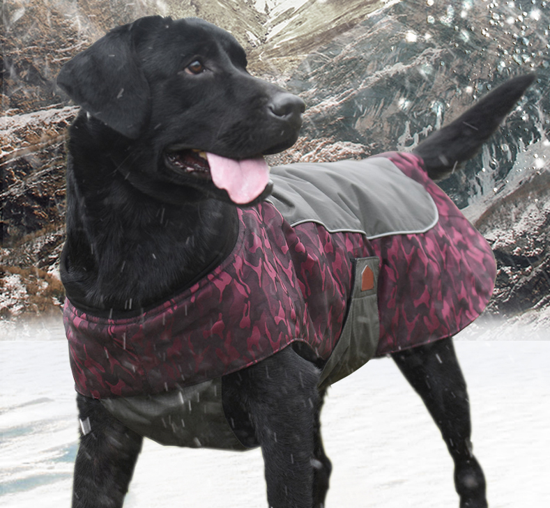 Winter Outdoor Dog Vest