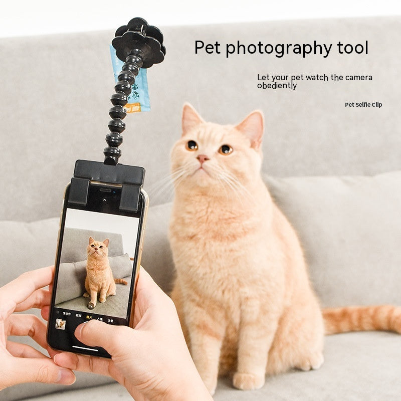 Pet Phone Treat/Toy Holder