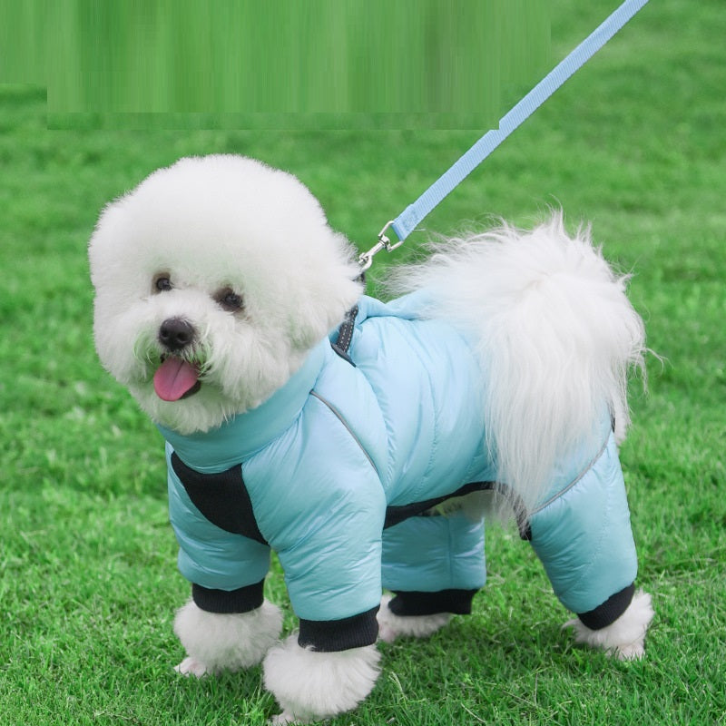 Winter Dog Jacket