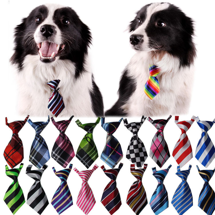 Colorful Pet Ties