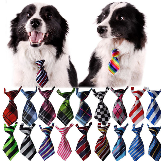 Colorful Pet Ties