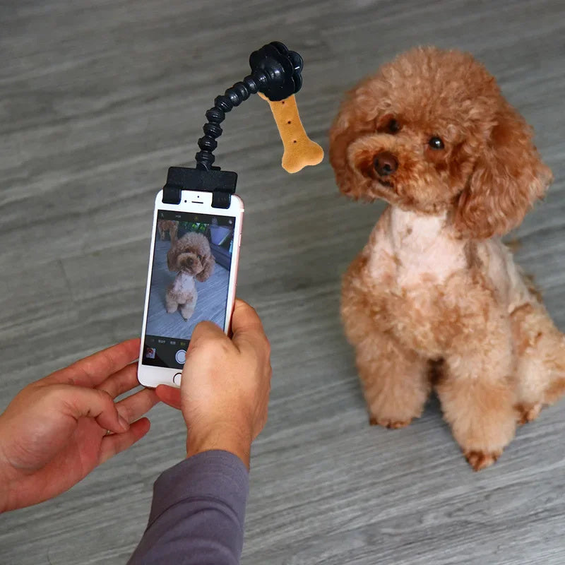 Pet Phone Treat/Toy Holder