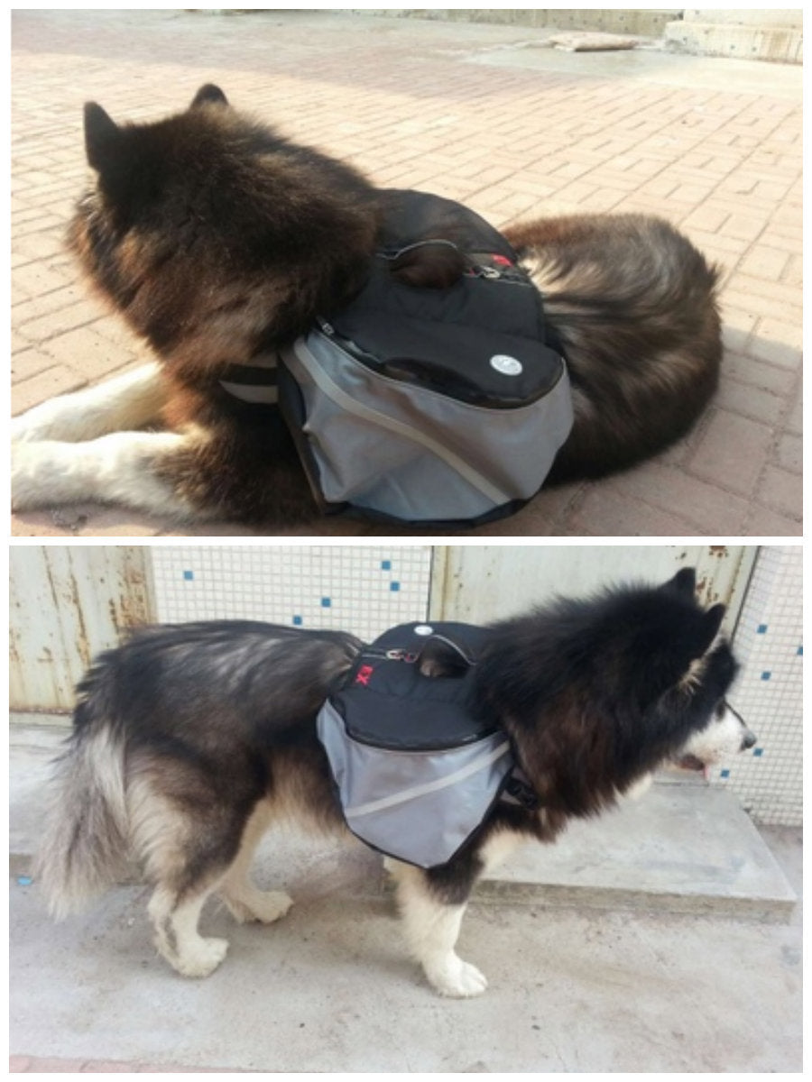 "Doggles EX Extreme" Backpack