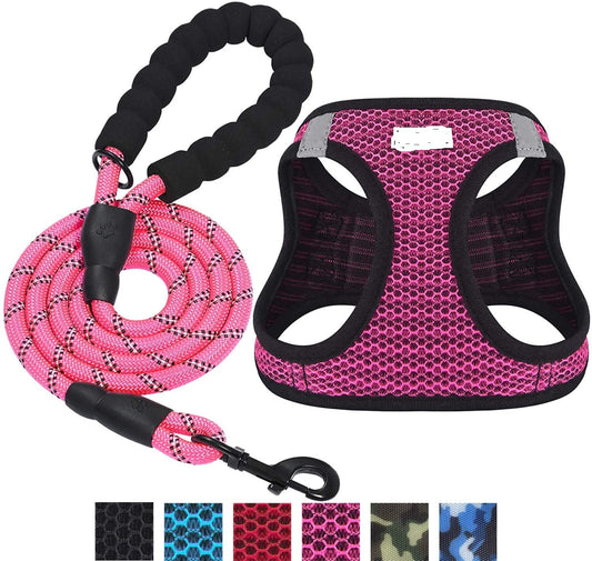 Reflective Pet Harness and Lesh