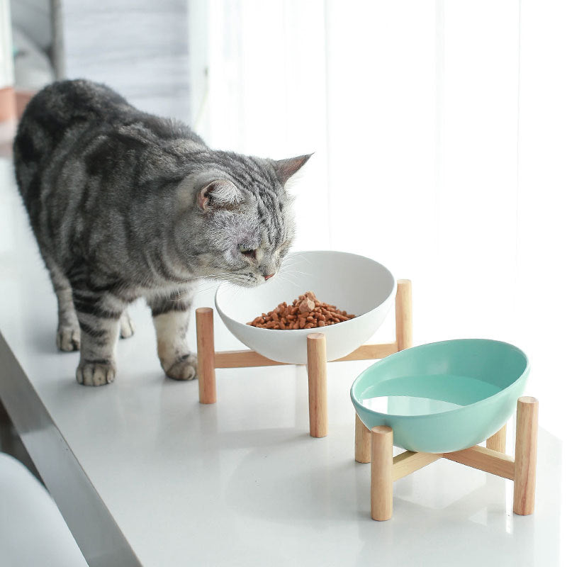 Colourful Ceramic Pet Bowl