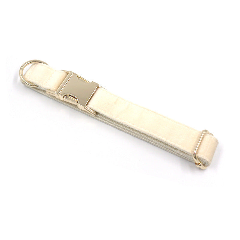 Cream Dog Collar Gold Buckle