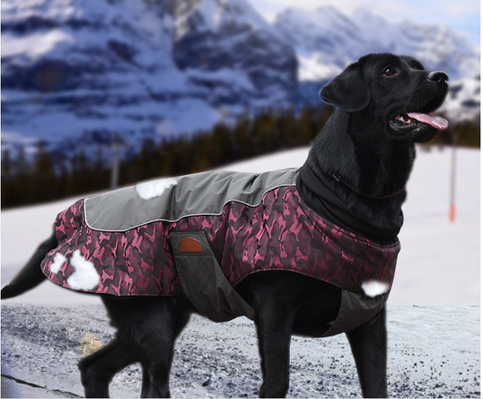 Winter Outdoor Dog Vest