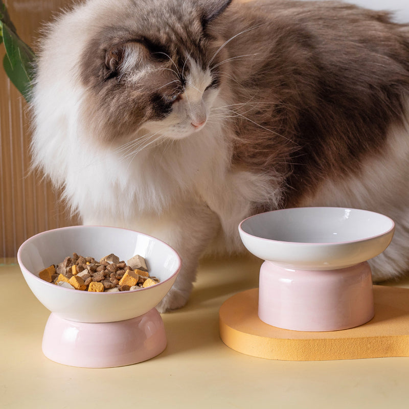 Pet Ceramic Tall Slanted Bowl