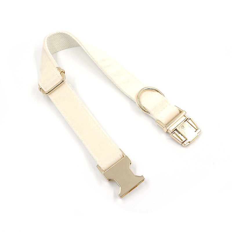 Cream Dog Collar Gold Buckle