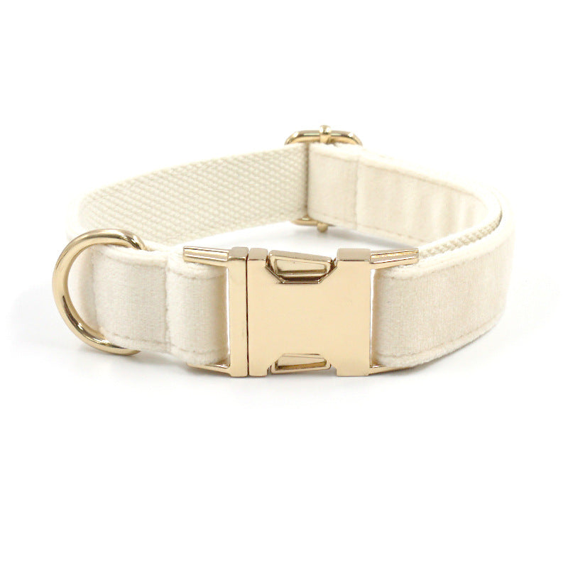 Cream Dog Collar Gold Buckle