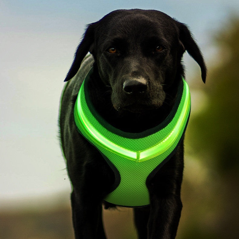 Led USB Charging Dog Harness