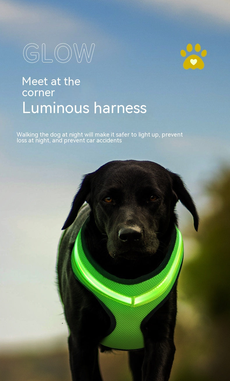 Led USB Charging Dog Harness