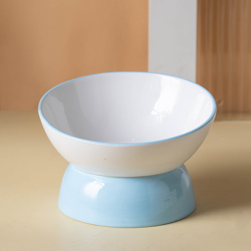 Pet Ceramic Tall Slanted Bowl