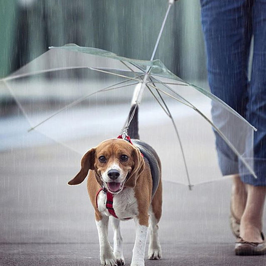 Dog Umbrella Rain Protector